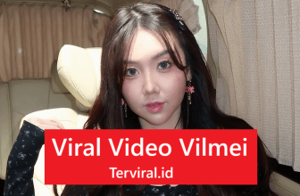 Viral Video Vilmei – Fakta Lengkap & Kronologi Kejadian