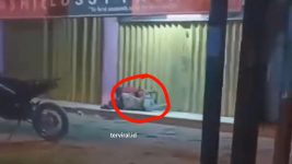 Video VIral Pria dan Wanita Lagi Begituan di Depan Ruko Pagaden Subang