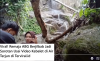 Viral! Remaja ABG Berjilbab Jadi Sorotan Usai Video Kebelet di Air Terjun