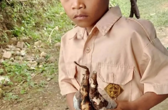 Kisah Viral dan Haru Rangga, Siswa SD di Gowa yang ke Sekolah Hanya Berbekal Ubi Bakar