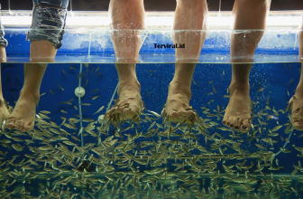 Viral! Turis Kehilangan Jari Kaki Usai Fish Spa di Thailand, Dokter Temukan Bakteri Berbahaya