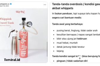 Istilah Viral, Arti, Fungsi, dan Kontroversinya di Tengah Isu Lula Lahfah