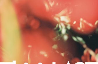 [Lirik+Terjemahan] This is LAST – Hinohana (Kembang Api)