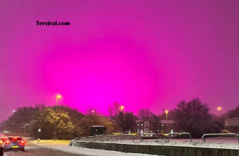 Viral! Langit Pink Menyelimuti Birmingham Inggris Saat Badai Salju – Ini Penyebab & Penjelasan Sebenarnya