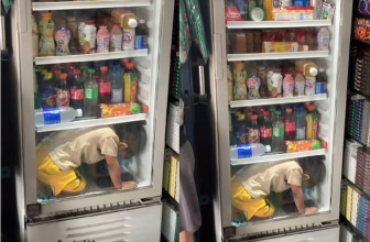 Viral Bocil Ngadem di Chiller Warung, Pemilik Ungkap Alasan Sebenarnya Tanpa AC di Rumah