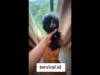 Viral! Video Melihat Pemandangan Sambil Jambak Istri Teman Hebohkan Media Sosial, Netizen Barbar