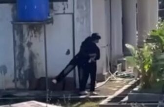 Viral Video Mesum Sepasang Remaja di Belakang Balai Kota Panggul Trenggalek