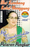 Biography Nyi Tjondrolukito
