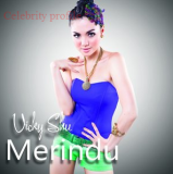 Biography Vicky Shu
