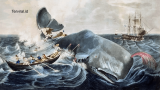 Review Novel “Moby-Dick” karya Herman Melville