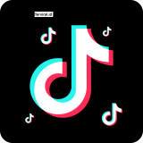 Kategori Paling Populer di TikTok, Serta Konten Creator yang Populer dan Naik Daun dan Tips Biar FYP di TikTok