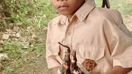 Kisah Viral dan Haru Rangga, Siswa SD di Gowa yang ke Sekolah Hanya Berbekal Ubi Bakar