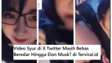Video Syur di X Twitter Masih Bebas Beredar Hingga Elon Musk?