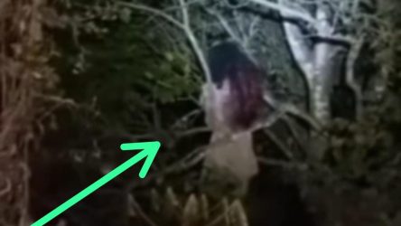 Viral Video Penemuan Kuntilanak Terjelas di Sinjai Timur