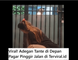 Viral! Adegan Tante di Depan Pagar Pinggir Jalan Bikin Heboh Saat Live
