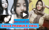 Viral Kasus Video Syur Calla Pramuka: Analisis Lengkap dan Dampaknya