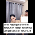 Viral! Video Janda Cantik Ini Sampai Gigit Bibir Karena Sembarangan Duduk