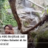 Viral! Video Badan Bergetar Bilang Gak Kuat Akhirnya Pingsan
