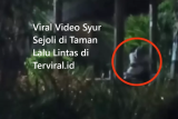 Viral Video Syur Sejoli di Taman Lalu Lintas Mojosari Mojokerto