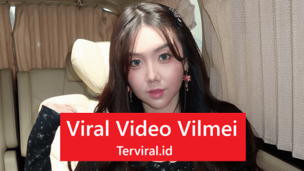 Viral Video Vilmei – Fakta Lengkap & Kronologi Kejadian