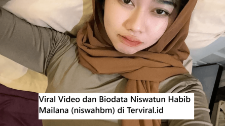 Viral Video dan Biodata Niswatun Habib Mailana (niswahbm)