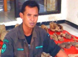 Arief Rubiyanto: Protector of Sumatran rhinoceros