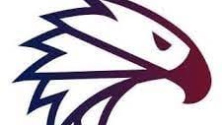 Terbaik: EagleFX Platform Trading Online