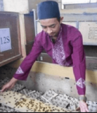 Hasil Jualan Jangkrik Seratus Juta Rupiah