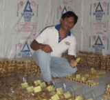 Lulusan SMP Jadi Pengusaha Pia Beromzet Ratusan Juta