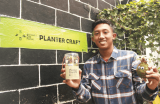 Boneka Lumut Planter Craft Hasilkan Jutaan Rupiah