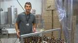 Kopi Ganja Ketika Entrepreneur Bertemu Kesempatan