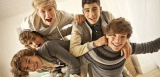 Biodata One Direction